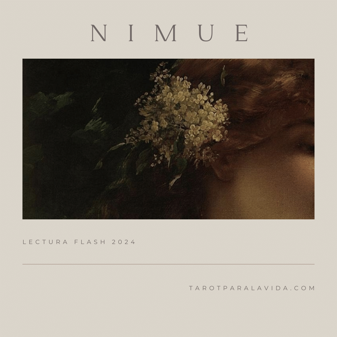 Consulta Flash Nimue