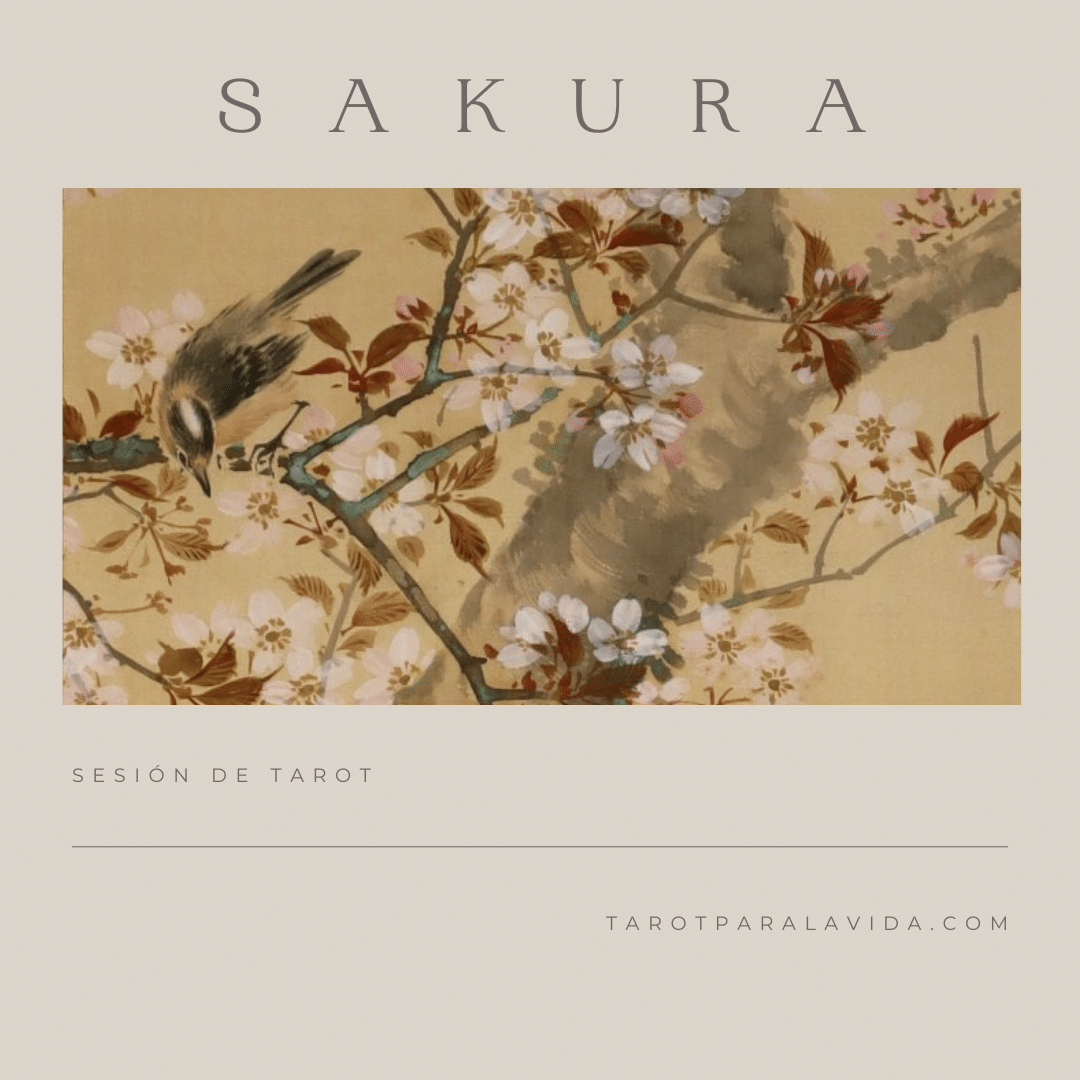 Sakura. Consulta flash de tarot